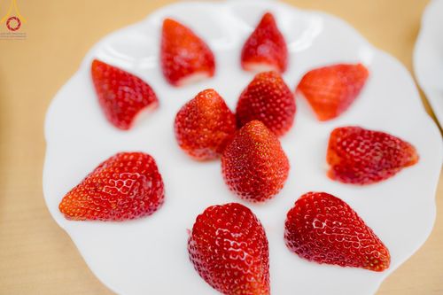 ภาพ No.61700:วัดป่าธรรมกายนานาชาติโทชิหงิ จัดปฏิบัติธรรมสุดสัปดาห์ ระหว่างวันที่ 12-14 เมษายน พ.ศ. 2567 (รุ่นเทศกาลสงกรานต์)