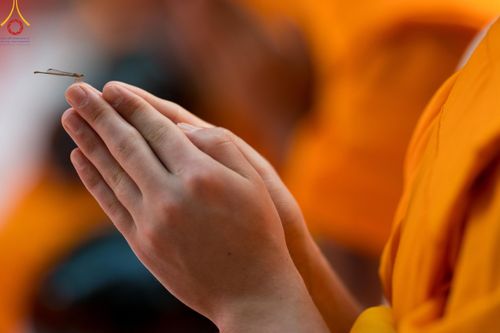 ภาพ No.107389:พิธีตักบาตรพระธรรมยาตราฯ ในโครงการธรรมยาตรากตัญญูบูชา มหาปูชนียาจารย์ พระมงคลเทพมุนี(สด จนฺทสโร) พระผู้ปราบมาร ปีที่ 12 ณ อนุสรณ์สถานมหาวิหารพระมงคลเทพมุนี อ.สองพี่น้อง จ.สุพรรณบุรี วันที่ 7 มกราคม พ.ศ. 2567