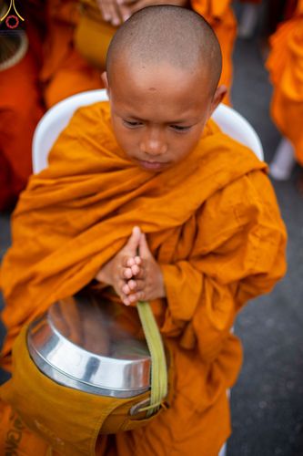 ภาพ No.85911:ตักบาตรพระนานาชาติ 10,000 รูป ใจกลางนครหาดใหญ่ จ.สงขลา วันอาทิตย์ที่ 20 สิงหาคม พ.ศ. 2566