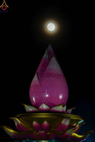 ภาพ No.91669:พิธีทอดผ้าป่า สร้างลานเอนกประสงค์พญานาค 4 ตระกูล จุดประทีปโคมลาน ถวายเป็นพุทธบูชา  สร้างความสว่างไสวให้กับแผ่นดินด้วยแสงธรรม วันอาทิตย์ที่ 29 ตุลาคม พ.ศ. 2566 ณ พุทธอุทยานนานาชาติ จังหวัดหนองคาย