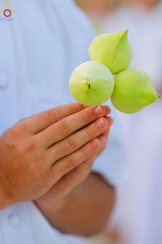 ภาพ No.133731:พิธีเวียนประทักษิณและพิธีวันทาเจดีย์ โครงการบรรพชาสามเณร ฟื้นฟูพระพุทธศาสนาทั่วไทย ณ วัดพระธรรมกาย วันเสาร์ที่ 6 เมษายน พ.ศ. 2567