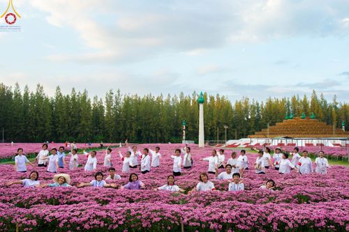 ภาพ No.102934:สาธุชนร่วมรับบุญเก็บดอกเบญจทรัพย์ ในวันที่ 19 ธันวาคม พ.ศ. 2566 (วันแรก) ณ บริเวณวัดพระธรรมกาย จ.ปทุมธานี