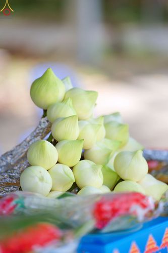 ภาพ No.67288:พิธีอุปสมบทวัดทวีพูลรังสรรค์ อ.องครักษ์ จ.นครนายก รับบุญจัดงานโดย   สำนักประธานคณะกรรมการบริหาร เมื่อวันที่ 9 ธันวาคม พ.ศ. 2565