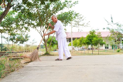 ภาพ No.64182:กิจวัตรกิจกรรมของนาคธรรมทายาท ณ ศูนย์ปฏิบัติธรรมลำปาง ในโครงการอุปสมบทบูชาธรรมมหาปูชนียาจารย์ วันที่ 21 พฤศจิกายน พ.ศ. 2565