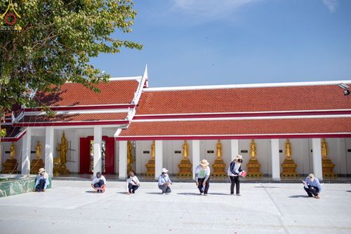 ภาพ No.71538:พระธรรมยาตรา ปฏิบัติศาสนกิจ ทำนุบำรุงศาสนสถาน, ปฏิบัติธรรม ร่วมกับชุมชน,นักเรียนเด็กดีวีสตาร์ และร่วมพิธีทอดผ้าป่าบำรุงศาสนสถาน ในโครงการธรรมยาตรากตัญญูบูชา มหาปูชนียาจารย์ พระมงคลเทพมุนี(สด จนฺทสโร) พระผู้ปราบมาร อนุสรณ์สถาน 7 แห่ง ปีที่ 11 ณ วัดสองพี่น