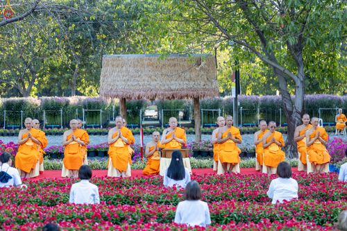 ภาพ No.280891:วันที่ 28 ธันวาคม พ.ศ.2568 กิจกรรมเก็บดอกแพงรวย ณ ทุ่งสวรรค์ตะวันฉาย วัดพระธรรมกาย