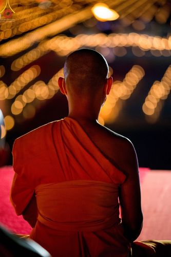 ภาพ No.43589:ประมวลภาพวันมาฆบูชา ประจำปี พ.ศ. 2565 ณ วัดพระธรรมกาย (ชุดที่ 2)