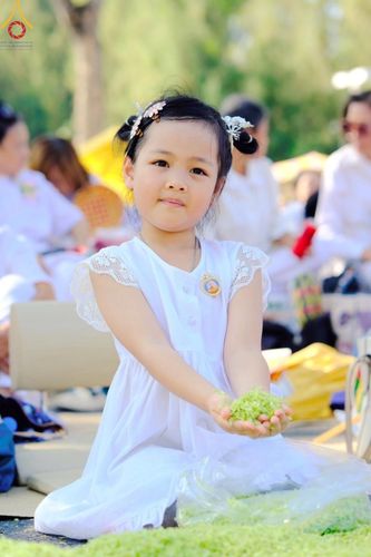 ภาพ No.188420:พิธีต้อนรับพระธรรมยาตรา ในโครงการธรรมยาตรา กตัญญูบูชา มหาปูชนียาจารย์ พระมงคลเทพมุนี(สด จนฺทสโร) พระผู้ปราบมาร อนุสรณ์สถาน 7 แห่ง ปีที่ 13 วันที่ 2 มกราคม พ.ศ. 2568 ณ วัดพระธรรมกาย จ.ปทุมธานี