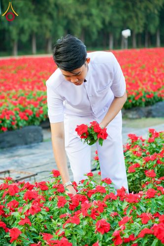 ภาพ No.185463:กิจกรรมเก็บดอกแพงรวย วันอาทิตย์ที่ 22 ธันวาคม พ.ศ. 2567 ณ ทุ่งสวรรค์ ตะวันฉาย วัดพระธรรมกาย