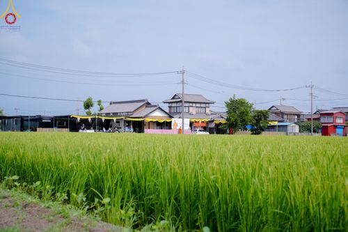 ภาพ No.145067:การประชุมสมัชชาสงฆ์ไทยในญี่ปุ่น ในวันศุกร์ที่ 12 - อาทิตย์ที่ 14 กรกฎาคม พ.ศ.2567 ณ วัดพระเชตุพน นาริตะ จังหวัดชิบะ ประเทศญี่ปุ่น