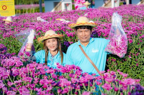 ภาพ No.186291:จิตอาสาอนุรักษ์สิ่งแวดล้อม รับบุญเก็บดอกเบญจทรัพย์ เพื่องานต้อนรับพระธรรมยาตรา ณ "ทุ่งสวรรค์ ตะวันฉาย" วัดพระธรรมกาบ วันที่ 22 ธันวาคม พ.ศ. 2567