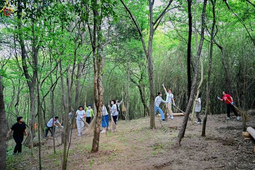 ภาพ No.136483:คณะพระภิกษุสงฆ์และกัลยาณมิตรชาวสิงคโปร์ เดินทางมาปฏิบัติธรรม ณ วัดป่าธรรมกายนานาชาติโทชิหงิ ประเทศญี่ปุ่น ระหว่างวันที่ 27 เมษายน  - 2 พฤษภาคม พ.ศ. 2567