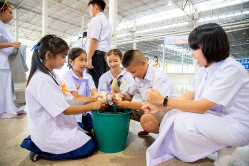 ภาพ No.245648:วันเสาร์ที่ 13 กันยายน พ.ศ. 2568 การอบรมเชิงปฏิบัติการจัดกิจกรรม "ทอดกฐินสัมฤทธิ์" ณ สภาธรรมกายสากล วัดพระธรรมกาย