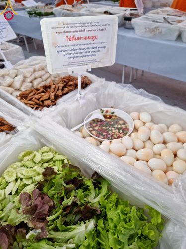 ภาพ No.109896:ถวายภัตตาหารเป็นสังฆทาน แด่คณะพระธรรมยาตราฯ ปีที่ 12 วันที่ 11 มกราคม พ.ศ. 2567 ณ อนุสรณ์สถานคลองบางนางแท่น  อ.สามพราน จ.นครปฐม