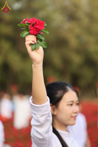 ภาพ No.185476:กิจกรรมเก็บดอกแพงรวย วันอาทิตย์ที่ 22 ธันวาคม พ.ศ. 2567 ณ ทุ่งสวรรค์ ตะวันฉาย วัดพระธรรมกาย