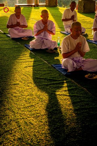 ภาพ No.181161:การรายงานตัวเข้ารับการอบรม และกิจวัตรกิจกรรมประจำวันก่อนบวช ของธรรมทายาท ณ ธุดงคสถานลำพูน ตั้งแต่วันที่ 1 ธันวาคม พ.ศ. 2567