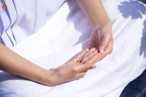 ภาพ No.104343:บรรยากาศ ทุ่งดอกทรัพย์บานชื่น ณ สวนพนาวัฒน์ อ.ฮอด จ.เชียงใหม่ ช่วงระหว่างวันที่ 20 - 25 ธันวาคม พ.ศ. 2566