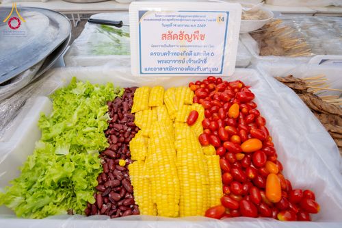 ภาพ No.293803:วันที่ 14 มกราคม พ.ศ. 2569  พิธีถวายภัตตาหารเป็นสังฆทาน แด่พระธรรมยาตรา  ณ วัดสองพี่น้อง ต.ต้นตาล อ.สองพี่น้อง จ.สุพรรณบุรี  ในโครงการธรรมยาตรา กตัญญูบูชา มหาปูชนียาจารย์  พระมงคลเทพมุนี(สด จนฺทสโร) พระผู้ปราบมาร  อนุสรณ์สถาน 7 แห่ง ปีที่ 14