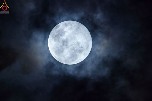 ภาพ No.43603:ประมวลภาพวันมาฆบูชา ประจำปี พ.ศ. 2565 ณ วัดพระธรรมกาย (ชุดที่ 2)