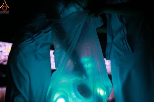 ภาพ No.52652:ประมวลภาพวันคล้ายวันเกิดครบรอบ 138 ปี พระมงคลเทพมุนี (สด จนฺทสโร) พระผู้ปราบมาร ชุดที่ 2