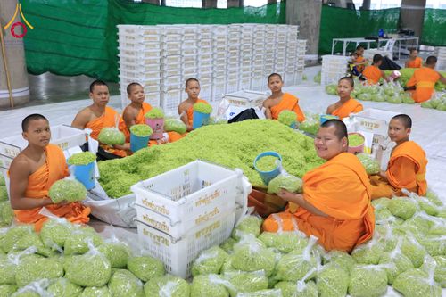 ภาพ No.303248:วันที่ 15-21 มกราคม พ.ศ.2569 ปลิดกลีบดอกเบญจทรัพย์ เพื่อโปรยต้อนรับพระธรรมยาตรา ในโครงการธรรมยาตรา กตัญญูบูชา มหาปูชนียาจารย์ พระมงคลเทพมุนี(สด จนฺทสโร) พระผู้ปราบมาร อนุสรณ์สถาน 7 แห่ง ปีที่ 14 ณ วิหารคด วัดพระธรรมกาย