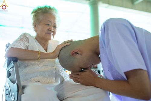 ภาพ No.82521:พิธีปลงผมนาคธรรมทายาท ในโครงการธรรมทายาทระดับอุดมศึกษา รุ่นที่ 50 ภาคฤดูฝน ในวันที่ 10 มิถุนายน พ.ศ. 2566 ณ วัดพระธรรมกาย