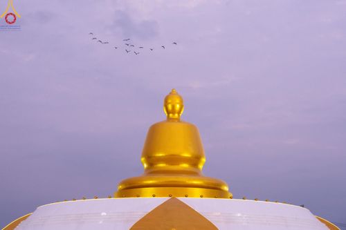 ภาพ No.118467:พิธีตักบาตรพระธรรมยาตรา ปีที่ 12 ณ อนุสรณ์สถานลำดับที่ 5 สถานที่เผยแผ่วิชชาธรรมกายครั้งแรก อนุสรณ์สถานบางปลา จ.นครปฐม วันที่ 25 มกราคม พ.ศ. 2567