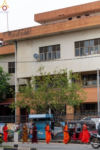 ภาพ No.139415:พิธีตักบาตรรอบเมืองดัมบุลล่า เทศกาลวิสาขบูชาแห่งชาติ ศรีลังกา เมื่อวันที่ 16 พฤษภาคมที่ผ่านมา คณะสงฆ์จากวัดพระธรรมกาย และคณะพระภิกษุสามเณรศรีลังกา ในโครงการสยาม-ลังกา ธรรมยาตรา ฉลองเทศกาลวิสาขบูชาแห่งชาติ ศรีลังกา บูชาธรรม 80 ปีหลวงพ่อธัมมชโย