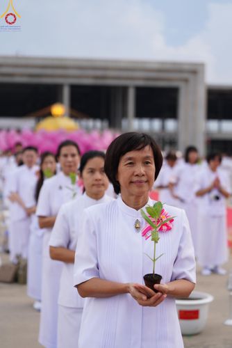 ภาพ No.160423:พิธีปลูกต้นทรัพย์บานชื่น ณ ลานธรรม พระมหาธรรมกายเจดีย์ วัดพระธรรมกาย จ.ปทุมธานี วันพฤหัสบดีที่ 10 ตุลาคม พ.ศ. 2567