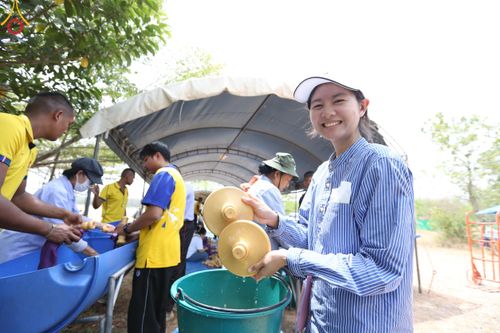 ภาพ No.127452:V.31 ทุ่มเทเพื่อบางกล่ำ การเตรียมงานของเจ้าหน้าที่หน่วยงานต่างๆ  เพื่องานธรรมยาตราอัญเชิญพระบรมสารีริกธาตุ ประดิษฐาน ณ มหารัตนเจดีย์สิริปทุมสวรรค์ (เจดีย์อริยพุทธะ 5 พระองค์) ณ ศูนย์ปฏิบัติธรรมภาคใต้ อ.บางกล่ำ จ.สงขลา ระหว่างวันที่ 9-10 มีนาคม พ.ศ. 2567