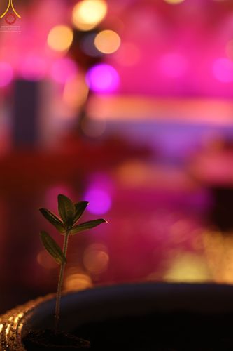 ภาพ No.52662:ประมวลภาพวันคล้ายวันเกิดครบรอบ 138 ปี พระมงคลเทพมุนี (สด จนฺทสโร) พระผู้ปราบมาร ชุดที่ 2