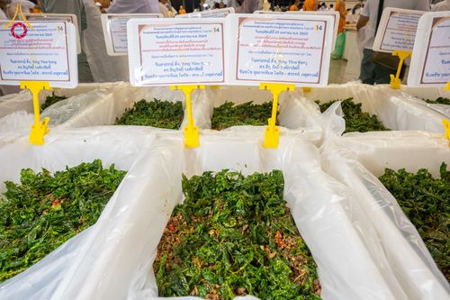 ภาพ No.305368:วันที่ 29 มกราคม พ.ศ. 2569 พิธีถวายภัตตาหารเป็นสังฆทาน แด่พระธรรมยาตรา ณ วัดพระธรรมกาย  จังหวัดปทุมธานี ในโครงการธรรมยาตรา กตัญญูบูชา มหาปูชนียาจารย์ พระมงคลเทพมุนี(สด จนฺทสโร) พระผู้ปราบมาร อนุสรณ์สถาน 7 แห่ง ปีที่ 14