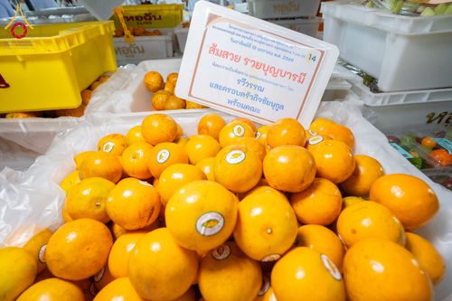 ภาพ No.296725:วันที่ 18 มกราคม พ.ศ. 2569 พิธีถวายภัตตาหารเป็นสังฆทาน แด่พระธรรมยาตรา ณ วัดโบสถ์บน ต.บางคูเวียง จ.นนทบุรี อนุสรณ์สถานลำดับที่ 4 สถานที่เกิดด้วยกายธรรม ในโครงการธรรมยาตรา กตัญญูบูชา มหาปูชนียาจารย์ พระมงคลเทพมุนี(สด จนฺทสโร) พระผู้ปราบมาร อนุสรณ์สถาน 7 แ