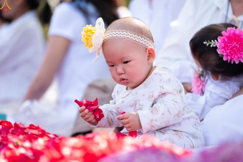 ภาพ No.304023:วันที่ 25 มกราคม พ.ศ. 2569 พิธีต้อนรับพระธรรมยาตรา  รร.สามัคคีราษฏร์บำรุง-วัดพระธรรมกาย ในโครงการธรรมยาตรา กตัญญูบูชา มหาปูชนียาจารย์ พระมงคลเทพมุนี(สด จนฺทสโร) พระผู้ปราบมาร อนุสรณ์สถาน 7 แห่ง ปีที่ 14