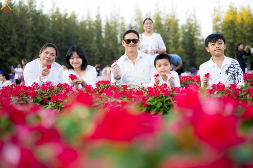 ภาพ No.280991:วันที่ 28 ธันวาคม พ.ศ.2568 กิจกรรมเก็บดอกแพงรวย ณ ทุ่งสวรรค์ตะวันฉาย วัดพระธรรมกาย