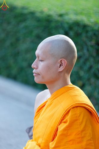 ภาพ No.187087:พระธรรมยาตราปฏิบัติธรรม และถ่ายภาพหมู่ประวัติศาสตร์ ปีที่ 13 ณ ลานทิศตะวันออก มหาวิหารพระมงคลเทพมุนี วัดพระธรรมกาย จ.ปทุมธานี วันเสาร์ที่ 28 ธันวาคม พ.ศ. 2567