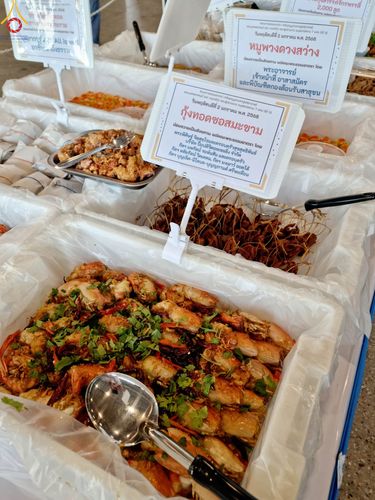 ภาพ No.188202:พิธีถวายภัตตาหารเป็นสังฆทาน แด่พระธรรมยาตรา ในโครงการธรรมยาตรา กตัญญูบูชา มหาปูชนียาจารย์ พระมงคลเทพมุนี(สด จนฺทสโร) พระผู้ปราบมาร อนุสรณ์สถาน 7 แห่ง ปีที่ 13 ณ สภาธรรมกายสากล วัดพระธรรมกาย วันที่ 2 มกราคม พ.ศ. 2568