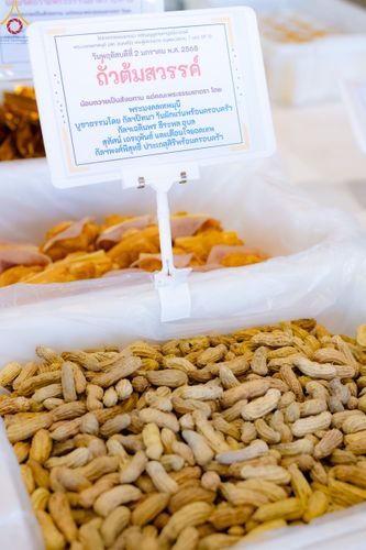 ภาพ No.188222:พิธีถวายภัตตาหารเป็นสังฆทาน แด่พระธรรมยาตรา ในโครงการธรรมยาตรา กตัญญูบูชา มหาปูชนียาจารย์ พระมงคลเทพมุนี(สด จนฺทสโร) พระผู้ปราบมาร อนุสรณ์สถาน 7 แห่ง ปีที่ 13 ณ สภาธรรมกายสากล วัดพระธรรมกาย วันที่ 2 มกราคม พ.ศ. 2568