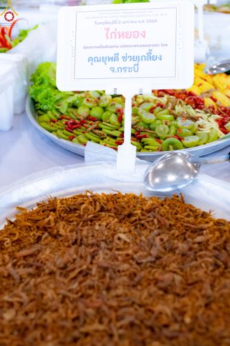 ภาพ No.188225:พิธีถวายภัตตาหารเป็นสังฆทาน แด่พระธรรมยาตรา ในโครงการธรรมยาตรา กตัญญูบูชา มหาปูชนียาจารย์ พระมงคลเทพมุนี(สด จนฺทสโร) พระผู้ปราบมาร อนุสรณ์สถาน 7 แห่ง ปีที่ 13 ณ สภาธรรมกายสากล วัดพระธรรมกาย วันที่ 2 มกราคม พ.ศ. 2568