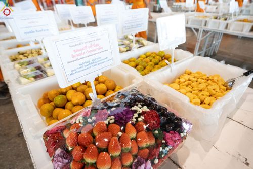 ภาพ No.188232:พิธีถวายภัตตาหารเป็นสังฆทาน แด่พระธรรมยาตรา ในโครงการธรรมยาตรา กตัญญูบูชา มหาปูชนียาจารย์ พระมงคลเทพมุนี(สด จนฺทสโร) พระผู้ปราบมาร อนุสรณ์สถาน 7 แห่ง ปีที่ 13 ณ สภาธรรมกายสากล วัดพระธรรมกาย วันที่ 2 มกราคม พ.ศ. 2568