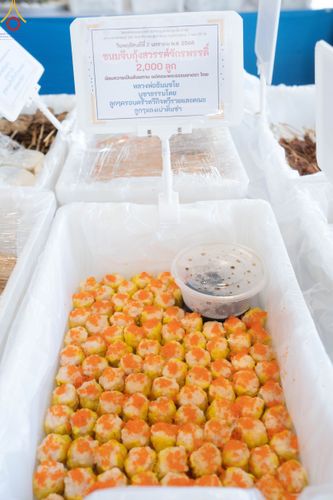 ภาพ No.188233:พิธีถวายภัตตาหารเป็นสังฆทาน แด่พระธรรมยาตรา ในโครงการธรรมยาตรา กตัญญูบูชา มหาปูชนียาจารย์ พระมงคลเทพมุนี(สด จนฺทสโร) พระผู้ปราบมาร อนุสรณ์สถาน 7 แห่ง ปีที่ 13 ณ สภาธรรมกายสากล วัดพระธรรมกาย วันที่ 2 มกราคม พ.ศ. 2568