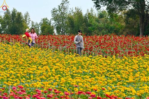 ภาพ No.188342:บรรยากาศ ทุ่งสวรรค์หรรษาพนาวัฒน์ ณ สวนพนาวัฒน์ อ.ฮอด จ.เชียงใหม่ เปิดให้เข้าชมฟรี ระหว่างวันที่ 28 ธันวาคม พ.ศ. 2567 ถึง วันที่ 3 มกราคม พ.ศ. 2568 เวลา 08.00-17.00 น.