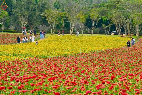 ภาพ No.188344:บรรยากาศ ทุ่งสวรรค์หรรษาพนาวัฒน์ ณ สวนพนาวัฒน์ อ.ฮอด จ.เชียงใหม่ เปิดให้เข้าชมฟรี ระหว่างวันที่ 28 ธันวาคม พ.ศ. 2567 ถึง วันที่ 3 มกราคม พ.ศ. 2568 เวลา 08.00-17.00 น.