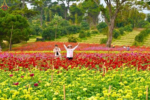 ภาพ No.188346:บรรยากาศ ทุ่งสวรรค์หรรษาพนาวัฒน์ ณ สวนพนาวัฒน์ อ.ฮอด จ.เชียงใหม่ เปิดให้เข้าชมฟรี ระหว่างวันที่ 28 ธันวาคม พ.ศ. 2567 ถึง วันที่ 3 มกราคม พ.ศ. 2568 เวลา 08.00-17.00 น.