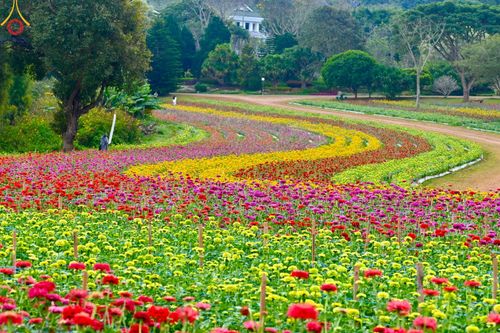 ภาพ No.188352:บรรยากาศ ทุ่งสวรรค์หรรษาพนาวัฒน์ ณ สวนพนาวัฒน์ อ.ฮอด จ.เชียงใหม่ เปิดให้เข้าชมฟรี ระหว่างวันที่ 28 ธันวาคม พ.ศ. 2567 ถึง วันที่ 3 มกราคม พ.ศ. 2568 เวลา 08.00-17.00 น.