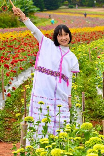 ภาพ No.188363:บรรยากาศ ทุ่งสวรรค์หรรษาพนาวัฒน์ ณ สวนพนาวัฒน์ อ.ฮอด จ.เชียงใหม่ เปิดให้เข้าชมฟรี ระหว่างวันที่ 28 ธันวาคม พ.ศ. 2567 ถึง วันที่ 3 มกราคม พ.ศ. 2568 เวลา 08.00-17.00 น.