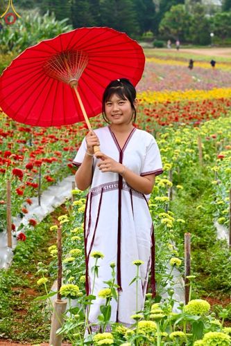 ภาพ No.188365:บรรยากาศ ทุ่งสวรรค์หรรษาพนาวัฒน์ ณ สวนพนาวัฒน์ อ.ฮอด จ.เชียงใหม่ เปิดให้เข้าชมฟรี ระหว่างวันที่ 28 ธันวาคม พ.ศ. 2567 ถึง วันที่ 3 มกราคม พ.ศ. 2568 เวลา 08.00-17.00 น.