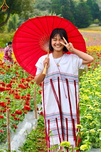 ภาพ No.188366:บรรยากาศ ทุ่งสวรรค์หรรษาพนาวัฒน์ ณ สวนพนาวัฒน์ อ.ฮอด จ.เชียงใหม่ เปิดให้เข้าชมฟรี ระหว่างวันที่ 28 ธันวาคม พ.ศ. 2567 ถึง วันที่ 3 มกราคม พ.ศ. 2568 เวลา 08.00-17.00 น.