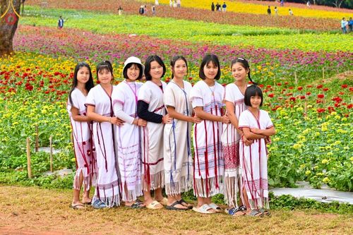 ภาพ No.188367:บรรยากาศ ทุ่งสวรรค์หรรษาพนาวัฒน์ ณ สวนพนาวัฒน์ อ.ฮอด จ.เชียงใหม่ เปิดให้เข้าชมฟรี ระหว่างวันที่ 28 ธันวาคม พ.ศ. 2567 ถึง วันที่ 3 มกราคม พ.ศ. 2568 เวลา 08.00-17.00 น.