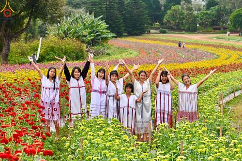 ภาพ No.188368:บรรยากาศ ทุ่งสวรรค์หรรษาพนาวัฒน์ ณ สวนพนาวัฒน์ อ.ฮอด จ.เชียงใหม่ เปิดให้เข้าชมฟรี ระหว่างวันที่ 28 ธันวาคม พ.ศ. 2567 ถึง วันที่ 3 มกราคม พ.ศ. 2568 เวลา 08.00-17.00 น.